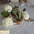 Centerpieces