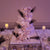 3 Tier Cake