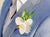 Boutonniere