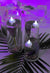 Centerpieces