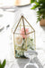 Centerpieces