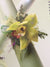 Corsages